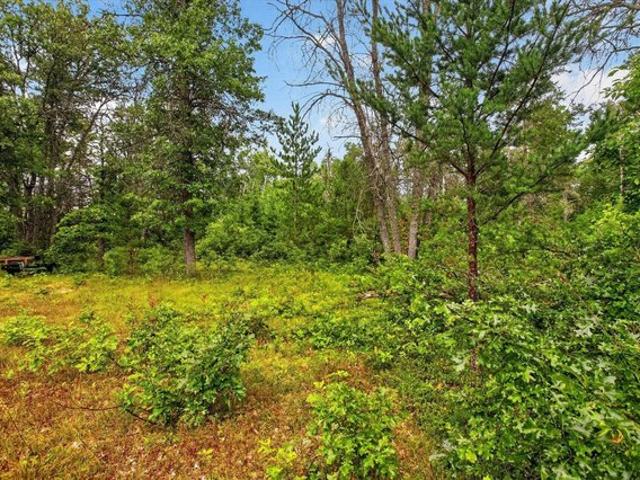Land for sale in Luzerne, Michigan