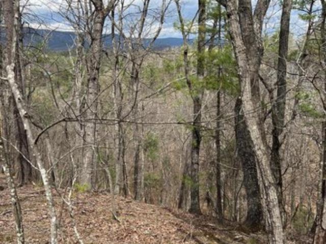 Land for sale in Virginia