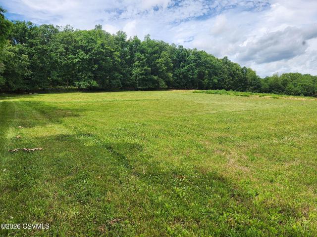 Land for sale in Montour, Pennsylvania