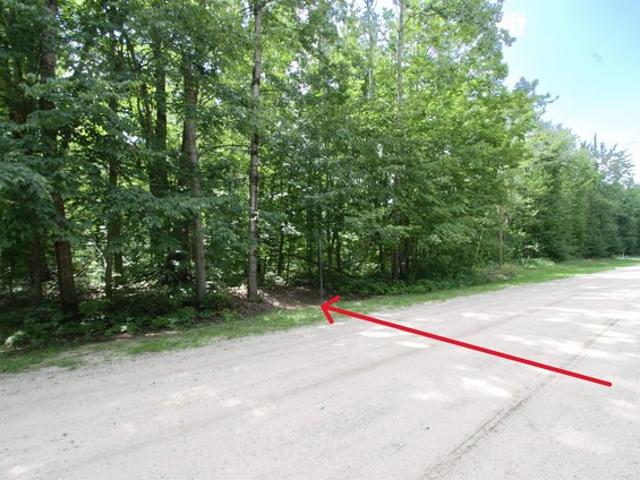 Land for sale in Mancelona, Michigan