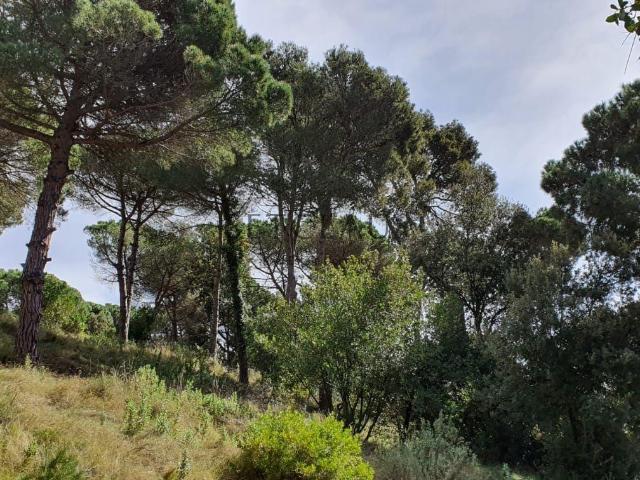Casa en venta en Vallès Oriental, Catalunya