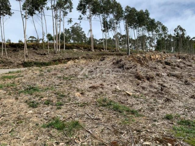 Terreno venda em Valongo