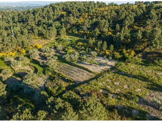 Terreno venda em Gorgoço, Argeriz