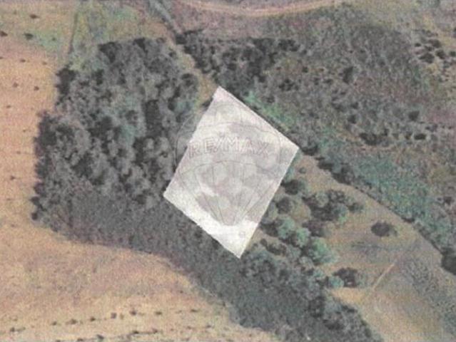 Terreno venda em Lama de Ouriço, Argeriz