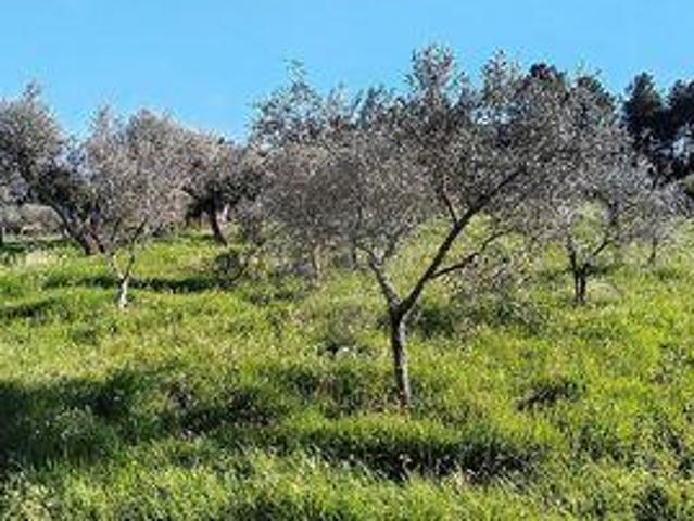 Terreno venda em Argeriz, Vila Real