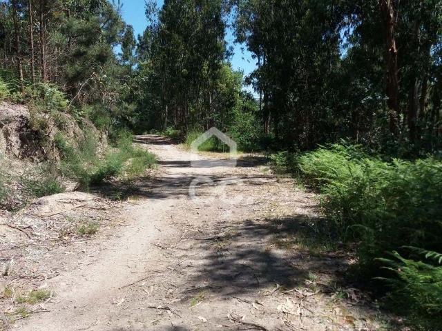 Terreno venda em Marecos, Porto