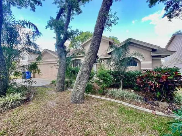 House for rent in Bloomington Springs