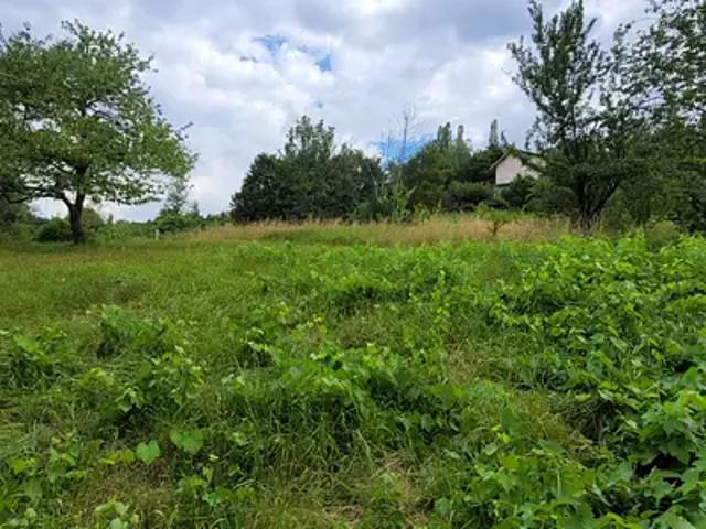 Terrain vente à Châtillon-en-Michaille, Valserhône