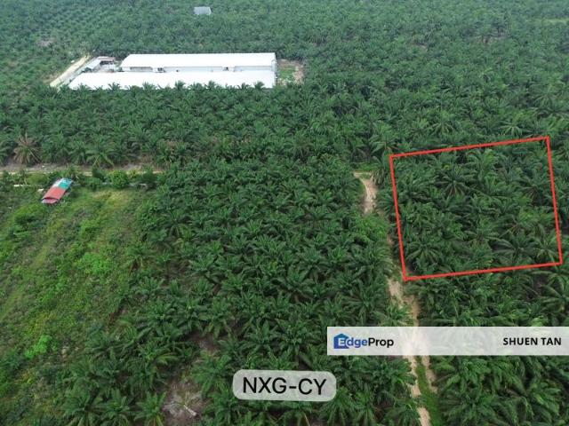 Warehouse for sale in Banting, Selangor