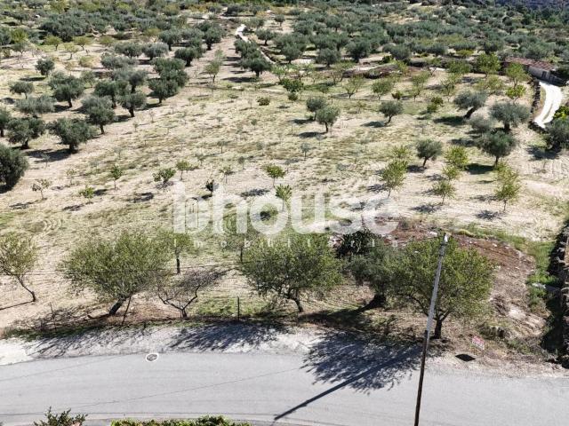 Terreno venda em Argeriz, Vila Real