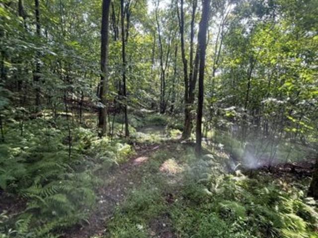 Land for sale in Butler