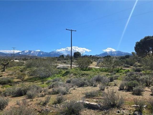 Land for sale in Pearblossom, California
