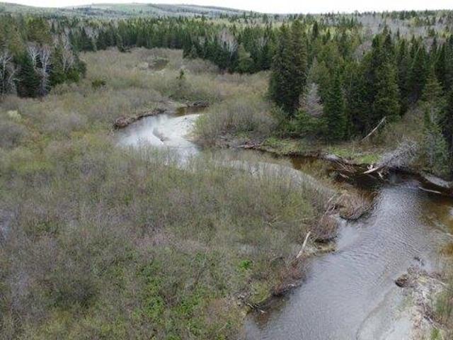 Land for sale in Van Buren, Maine