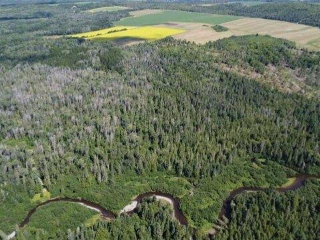 Land for sale in Van Buren, Maine