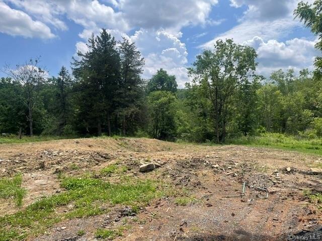 Land for sale in New York