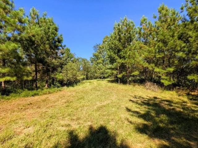 Land for sale in Jackson, Jackson County