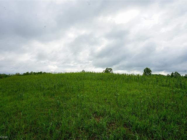 Land for sale in Chesterhill, Ohio