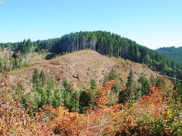 Land for sale in Alsea, Benton County