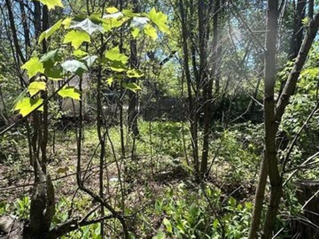 Land for sale in Michigan