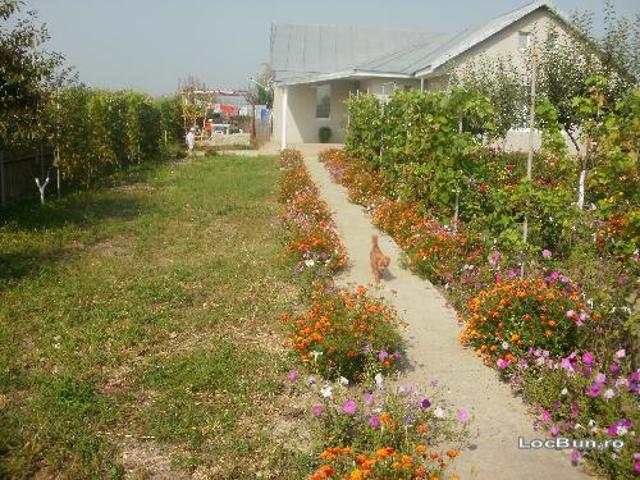 Casă vânzări în Filipesti, Bacău