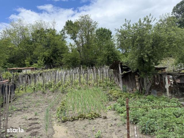 Casă vânzări în Bradetel