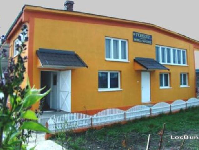 Spațiu Industrial vânzări în Neamț