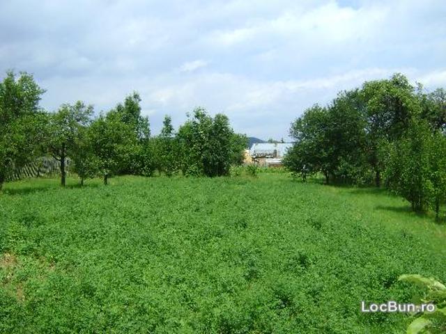 Teren vânzări în Prahova