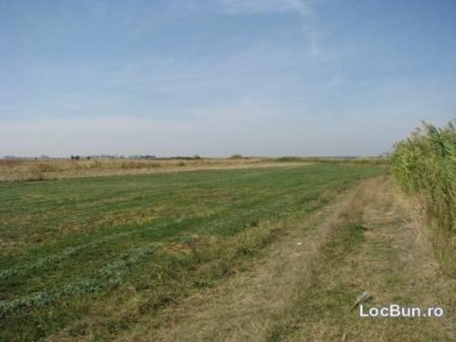 Teren vânzări în Romani