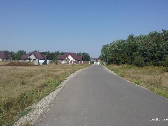 Teren vânzări în Romani, București