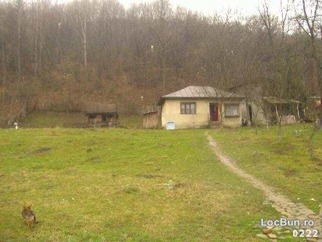 Teren vânzări în București