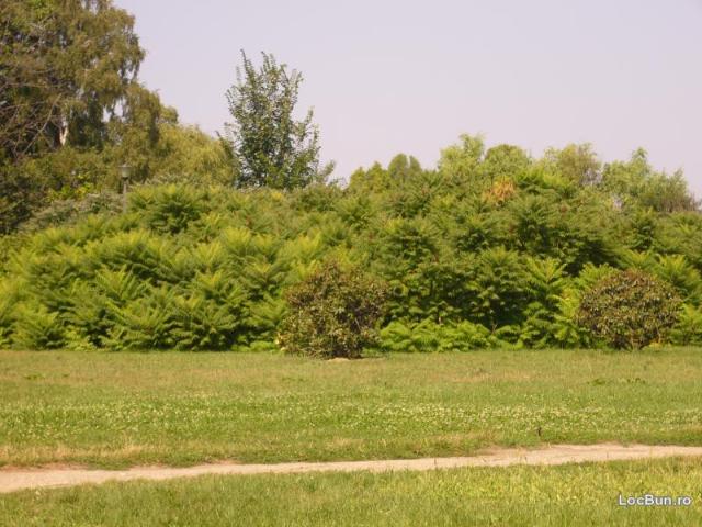 Teren vânzări în Romani