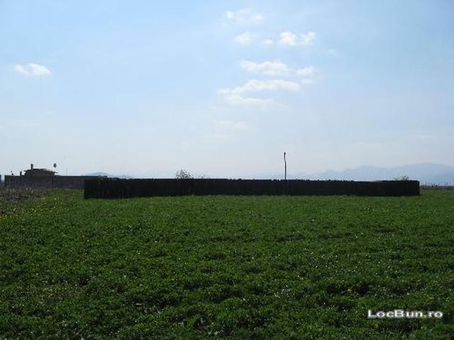 Teren vânzări în Halchiu, Brașov