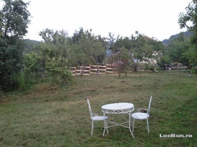 Teren vânzări în Valcea