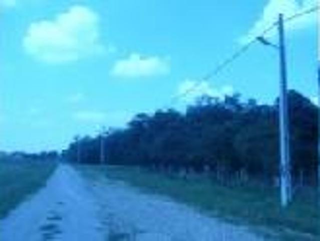 Teren vânzări în Oradea, Bihor