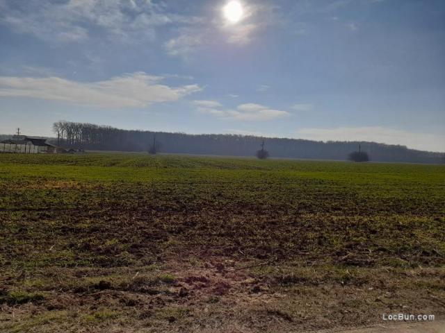 Teren vânzări în Romani, București