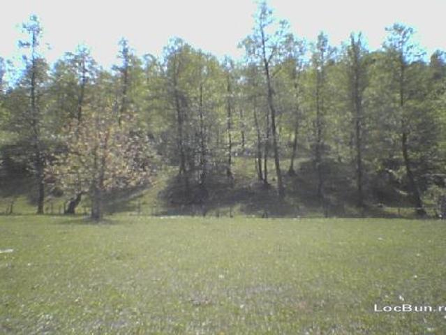 Teren vânzări în Romani