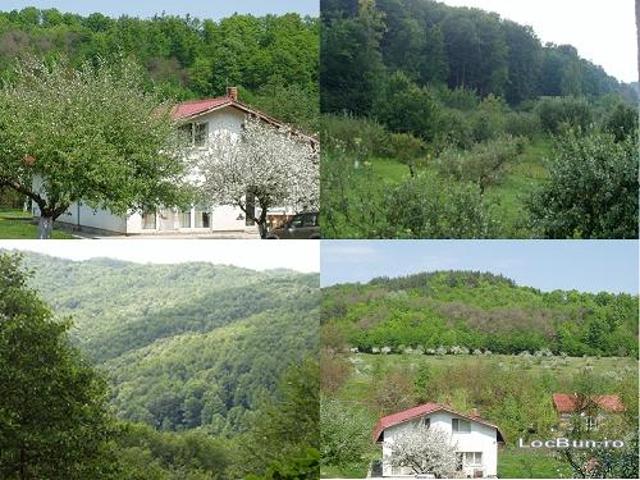 Cabană vânzări în Argeș