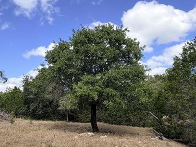 Land for sale in Fredericksburg, Gillespie County