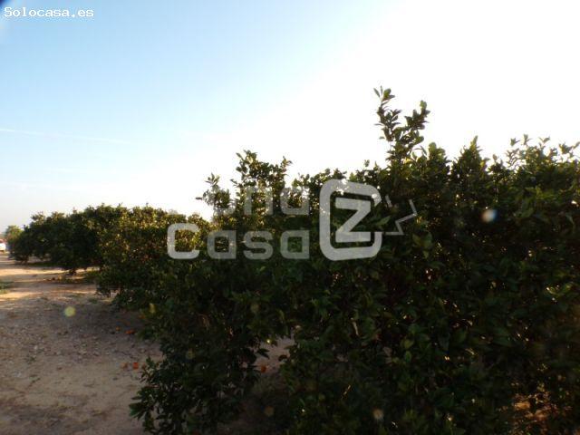 Casa en venta en la Ribera Alta, Valencia