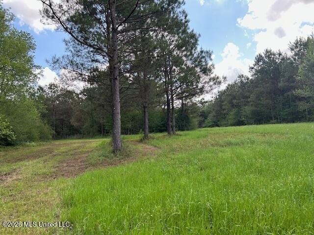 Land for sale in Tylertown, Mississippi