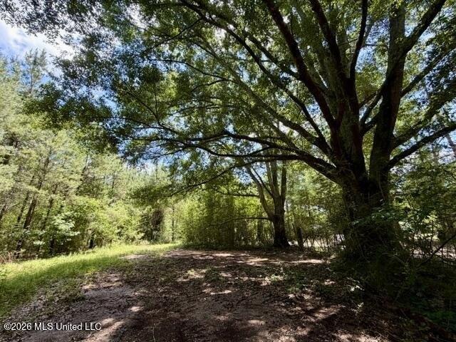 Land for sale in Tylertown, Mississippi