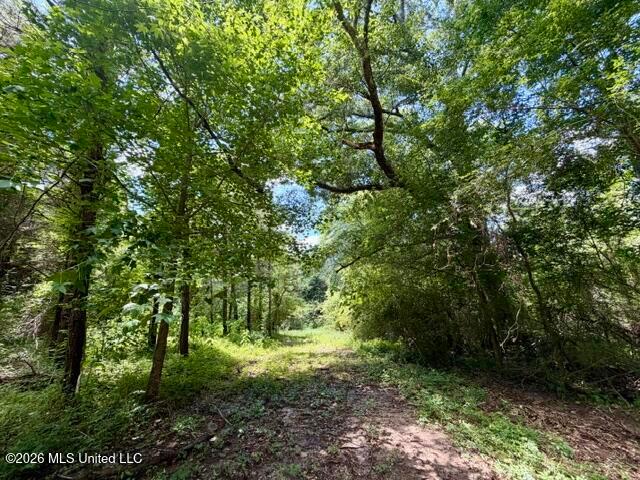 Land for sale in Tylertown, Mississippi