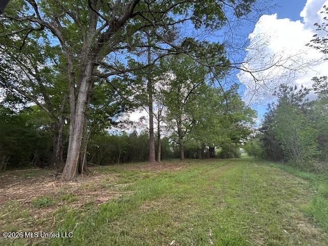 Land for sale in Tylertown, Walthall County