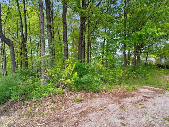 Land for sale in Casco, Wisconsin
