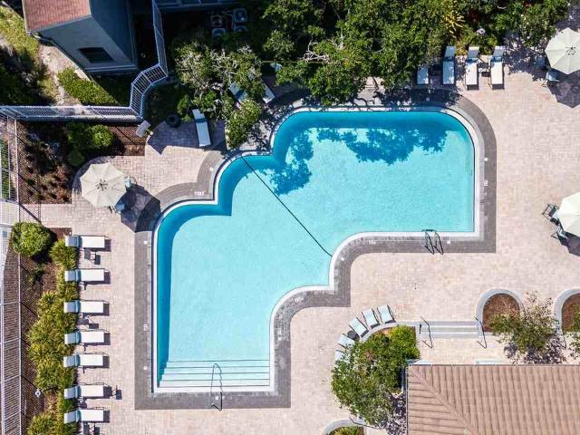 Apartment for rent in Tampa, Florida