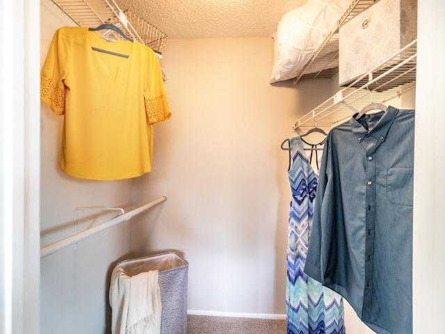 Apartment for rent in Tampa, Florida