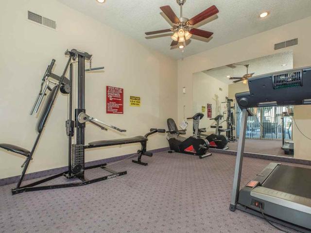 Apartment for rent in Sunview, Gilbert