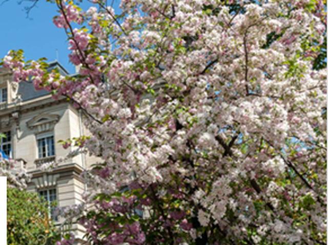 Appartement vente à Vanves, Hauts-de-Seine