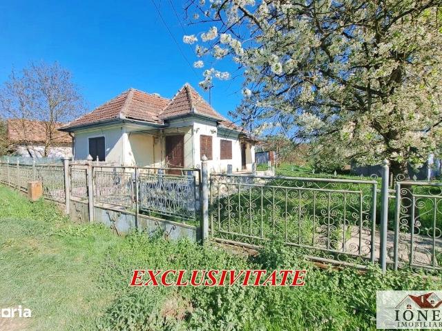 Casă vânzări în Gura Ariesului, Alba