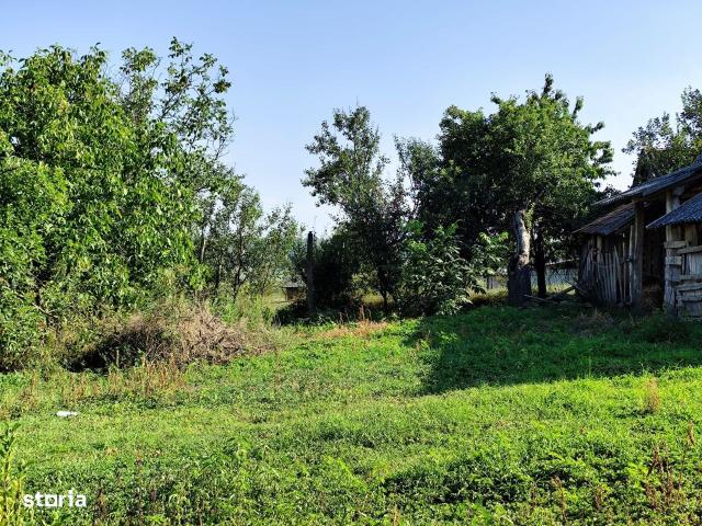 Casă vânzări